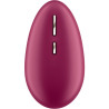 Satisfyer - Spot Sur 1 Baie